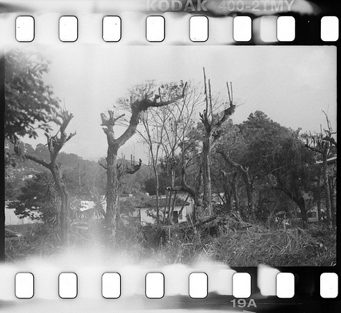 19 Roger Feoli - Kodak TMAX 400 por Arca Film Lab (Mayo 2025) - Rollo 1031
