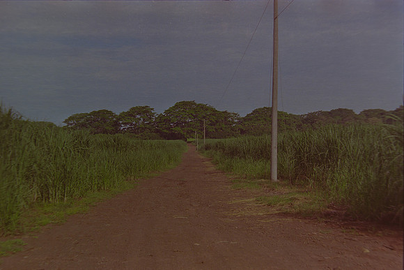 24 Christian Arriola - Kodak Gold 200 por Arca Film Lab (Agosto 2024) - Rollo 0232