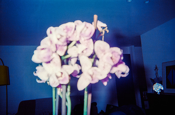 19 Diana Roca - Fujifilm 400 por Arca Film Lab (Mayo 2025) - Rollo 1052