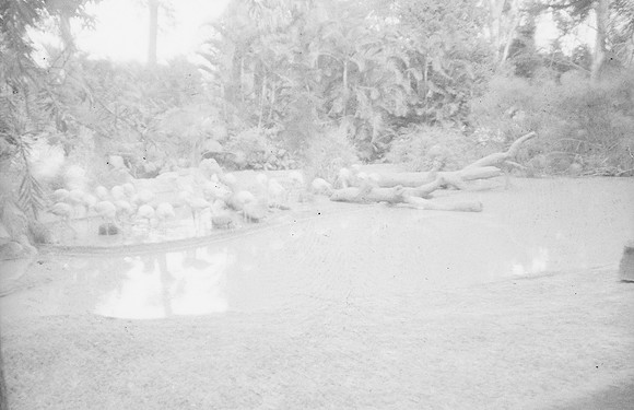 03 Kristel Calderón - Kentmere Pan 400 por Arca Film Lab (Enero 2025) - Rollo 0640