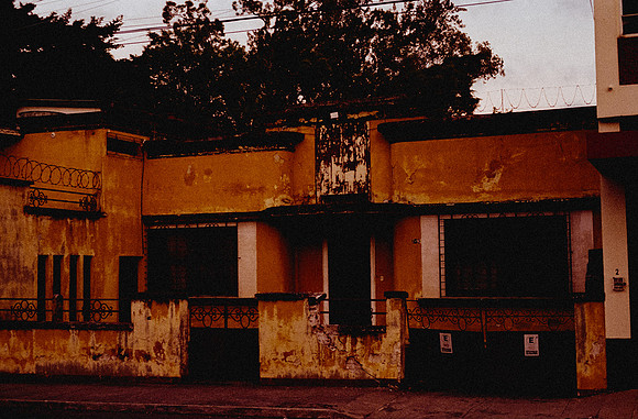 21 Alexander Daum - Fujifilm 200 por Arca Film Lab (Diciembre 2024) - Rollo 0559