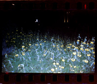 06 Fernanda Gonzáles - Reflx Lab 800T Push 3200 por Arca Film Lab (Mayo 2024) - Rollo 0049