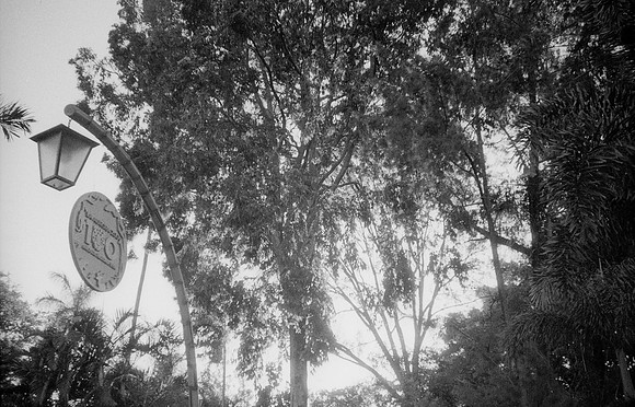 08 Kristel Calderón - Kentmere Pan 400 por Arca Film Lab (Enero 2025) - Rollo 0640