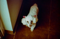 02 Andrea Campos - Kodak Ultramax 400 por Arca Film Lab (Diciembre 2024) - Rollo 0531
