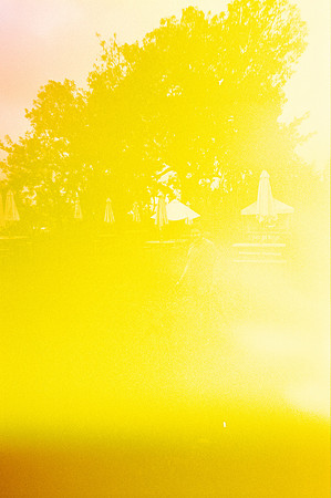 14 Andrea Osorio - Kodak Gold 200 por Arca Film Lab (Enero 2025) - Rollo 0638