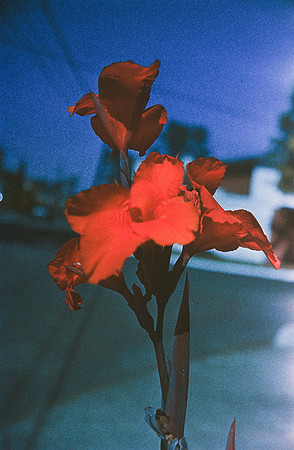 12 Carlos Quintero - Kodak Ektachrome 100 por Arca Film Lab (Marzo 2025) - Rollo 0772