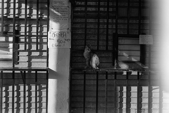 19 Ivan Ortíx - Kodak BW400CN por Arca Film Lab (Abril 2024)