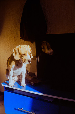02 Roberto Barco - Fujifilm 200 por Arca Film Lab (Noviembre 2024) - Rollo 0457