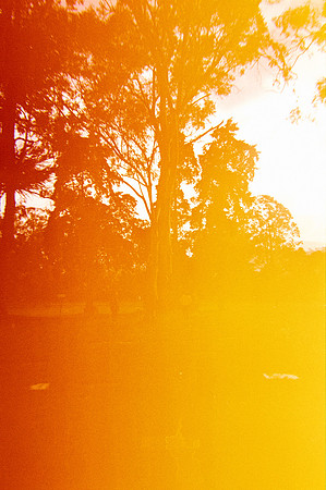 07 Andrea Osorio - Kodak Gold 200 por Arca Film Lab (Enero 2025) - Rollo 0638