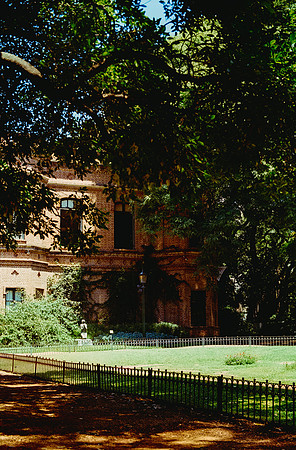 07 Daniel Dimitrakis - Kodak Ultramax 400 por Arca Film Lab (Enero 2025) - Rollo 0600