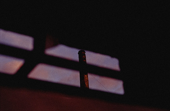 16 Alexander Daum - Fujifilm 200 por Arca Film Lab (Diciembre 2024) - Rollo 0559