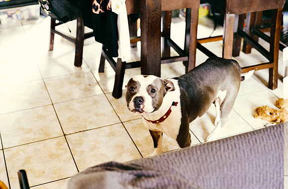 36 Carlos Cabrera - Kodak Ultramax 400 por Arca Film Lab (Marzo 2025) - Rollo 0788