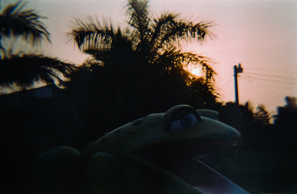 03 Mónica Díaz - Fujifilm 200 por Arca Film Lab (Abril 2025) - Rollo 0925
