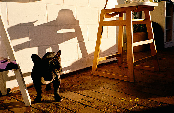 34 Rodrigo Fernández - Kodak Gold 200 por Arca Film Lab (Febrero 2025) - Rollo 0760