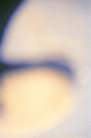 19 Ronald Ottoniel - Fujifilm 400 por Arca Film Lab (Febrero 2025) - Rollo 0867