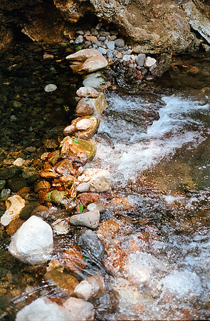 11 Jose Gabriel Gatica - Kodak Gold 200 - Arca Film Lab (Junio 2024) - Rollo 0117