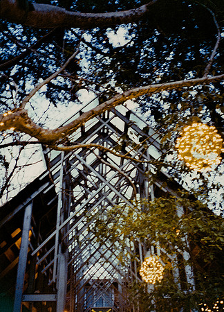57 Steve Palma - Fujifilm 400 por Arca Film Lab (Enero 2025) - Rollo 0628