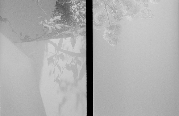 19 Marie - Ilford HP5+ 400 por Arca Film Lab (Junio 2025) - Rollo 1115