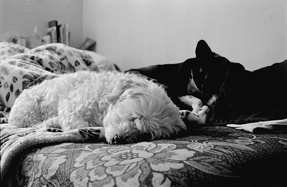 29 Fernando Peña - Ilford HP5 Plus 400 por Arca Film Lab (Agosto 2024) - Rollo 0246