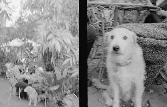 38 Natalia Mendoza - Kentmere Pan 400 por Arca Film Lab (Enero 2025) - Rollo 0696