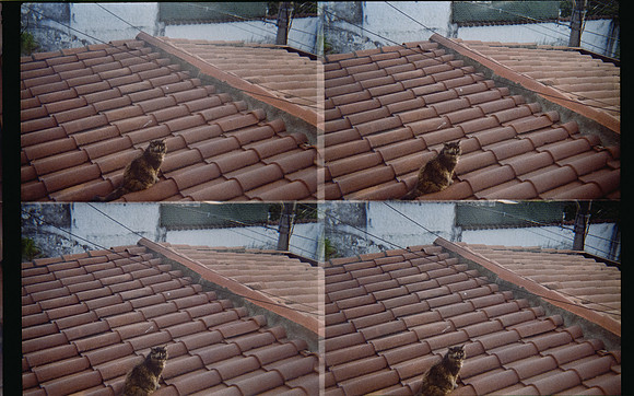 22 Natalia Mendoza - Kodak Gold 200 por Arca Film Lab (Mayo 2025) - Rollo 1018