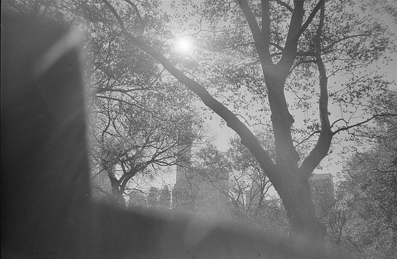 22 Marcelo Domínguez - Ilford HP5+ 400 por Arca Film Lab (Diciembre 2024) - Rollo 0485