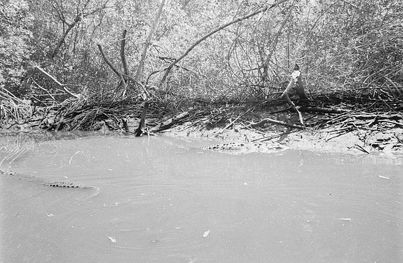 35 Guilia Trobbiani - Ilford HP5+ 400 por Arca Film Lab (Abril 2025) - Rollo 0932