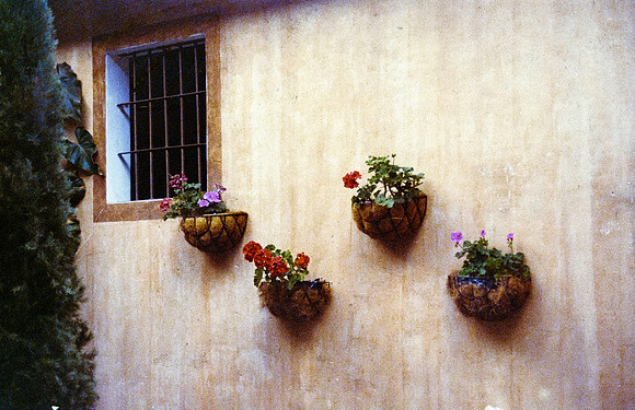31 Sensia Studio - Fujifilm 400 por Arca Film Lab (Mayo 2025) - Rollo 0998