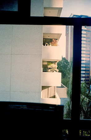 06 José David Fuentes - Kodak Portra 400 por Arca Film Lab (Diciembre 2024) - Rollo 0537