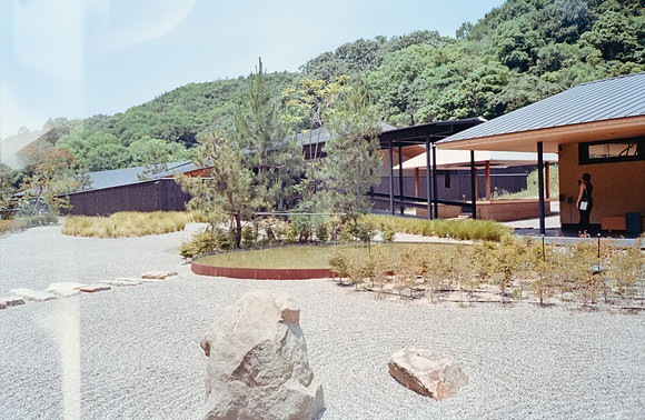 19 Esteban Ruíz - Kodak Gold 200 Film Lab (Agosto 2024) - Rollo 0275