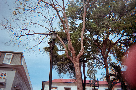 03 José David Fuentes - Fujifilm 200 por Arca Film Lab (Julio 2024) - Rollo 0174