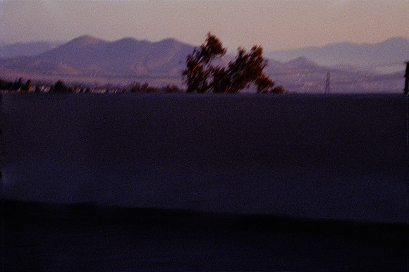 21 Mauricio Salguero - Lomography 400 por Arca Film Lab (Enero 2025) - Rollo 0563