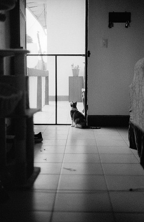 08 Valeria Minera - Kentmere Pan 400 por Arca Film Lab (Abril 2025) - Rollo 0960