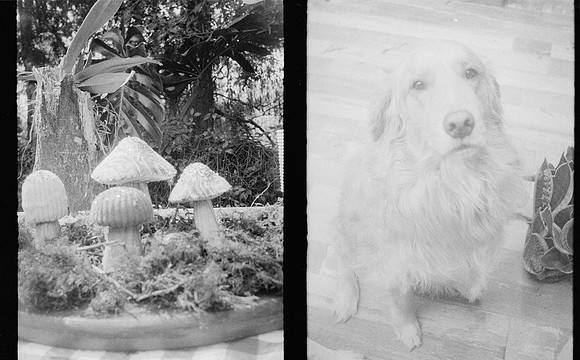 32 María Elena Santa Cruz - Ilford HP5 400 por Arca Film Lab (Febrero 2025) - Rollo 0780