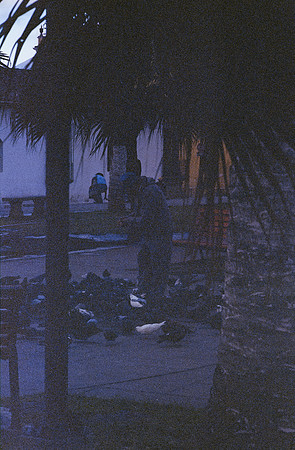 17 Fritz Pinnow - Cinestill 800T por Arca Film Lab (Diciembre 2024) - Rollo 0547