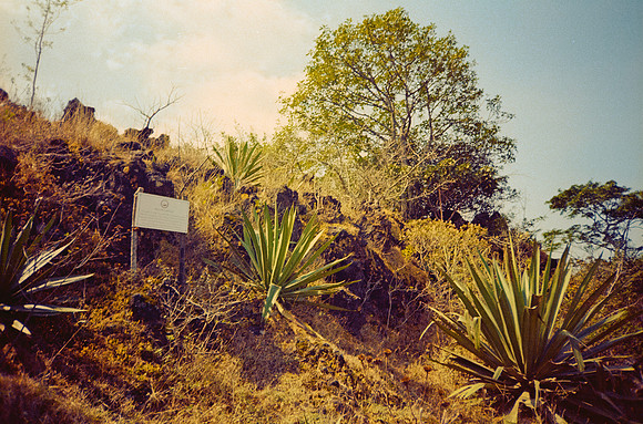 09 José Vásquez - Kodak Gold 200 por Arca Film Lab (Enero 2025) - Rollo 0668