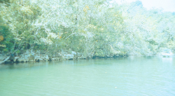 04 Alexander Daum - Kodak Gold 200 por Arca Film Lab (Abril 2025) - Rollo 0899
