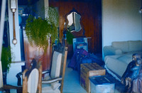 18 Alexander Daum - Kodak Ultra 200 por Arca Film Lab (Abril 2025) - Rollo 0901