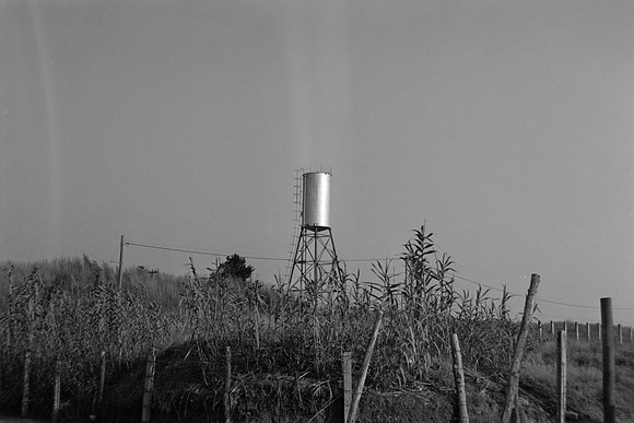 25 Ivan Ortíx - Kodak BW400CN por Arca Film Lab (Abril 2024)