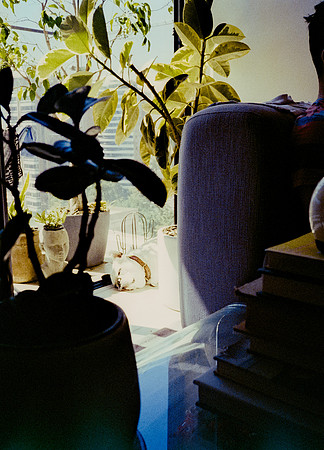 44 Steve Palma - Fujifilm 400 por Arca Film Lab (Enero 2025) - Rollo 0628