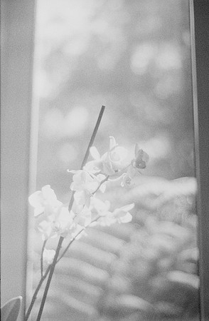 03 Steven Bickford -Ilford HP5+ 400 por Arca Film Lab (Marzo 2025) - Rollo 0830