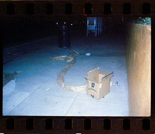 05 Fernanda Gonzáles - Reflx Lab 800T Push 3200 por Arca Film Lab (Mayo 2024) - Rollo 0049