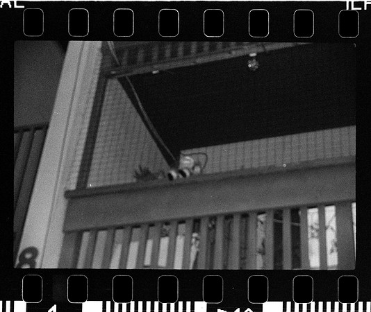 01 Fernanda González - Ilford Delta 3200 Push 12800 - Arca Film Lab (Mayo 2024) - Rollo 0050