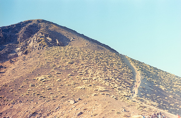 06 Andrea Campos -Kodak Ektar 100 por Arca Film Lab (Octubre 2024) - Rollo 0407