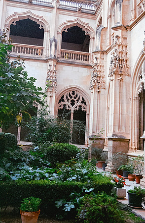 13 Guillermo Durán - Kodak Ultramax 400 por Arca Film Lab (Agosto 2024) - Rollo 0211