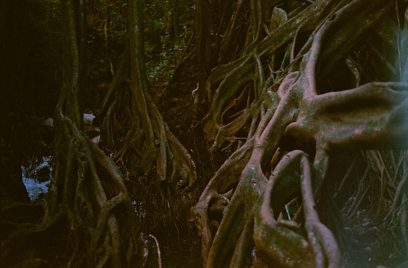 18 Karen Lucía Lara - Candido 200 por Arca Film Lab (Marzo 2025) - Rollo 0793
