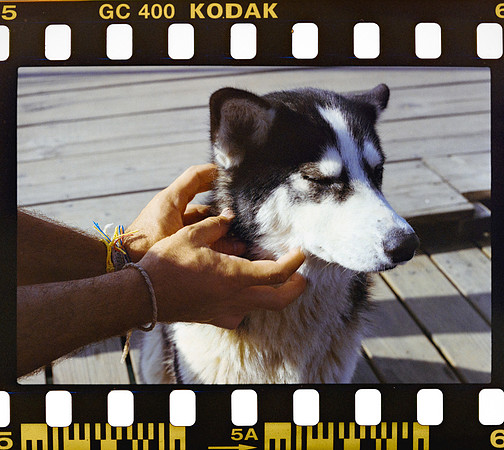 07 Yasemin Topcan - Kodak Ultramax 400 por Arca Film Lab (Octubre 2024) - Rollo 0391