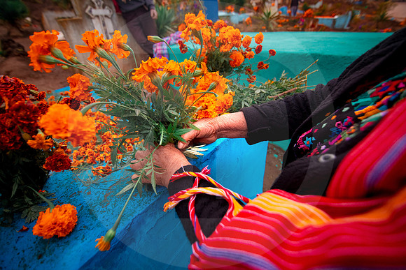 003 Día de los muertos - Noviembre 2019 por Fabriccio Díaz