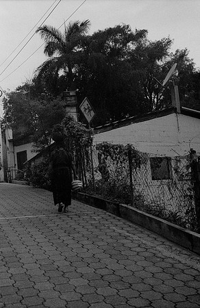 27 Alexander Daum - Ilford HP5+ 400 por Arca Film Lab (Noviembre 2024) - Rollo 0511