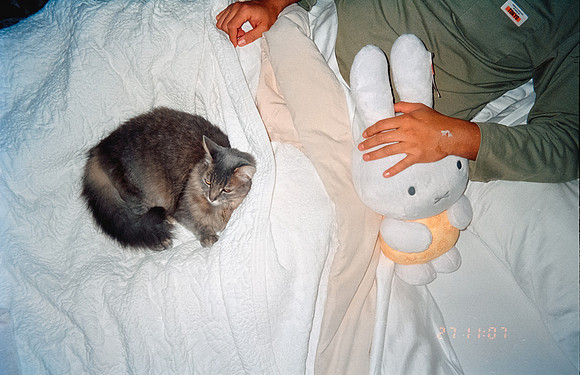 30 Guillermo Durán - Kodak Portra 800 por Arca Film Lab (Agosto 2024) - Rollo 0213